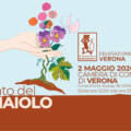 Cantina Villa Medici al Sabato del Vignaiolo 2026 a Verona